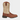 Justin Men's EE Canter Square Toe Western Cowboy Boots